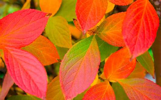 szkoła jazdy Piła kategoria C