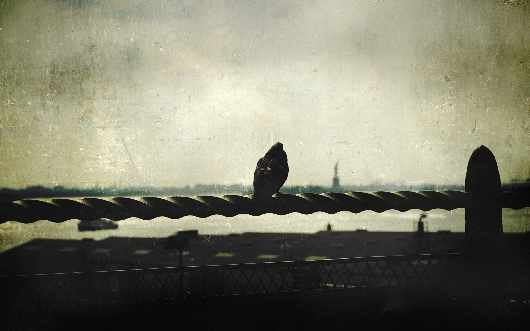 kurs nauki jazdy Piła