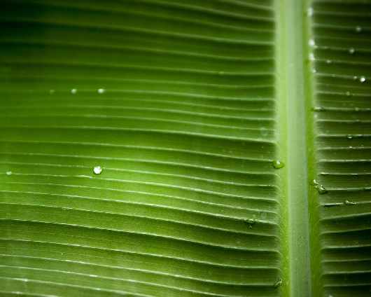 tania szkoła jazdy Piła