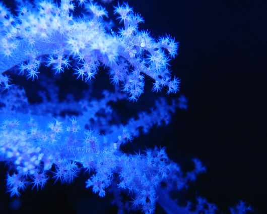 nauka jazdy Piła kategoria A1 nauka jazdy Piła kategoria A1