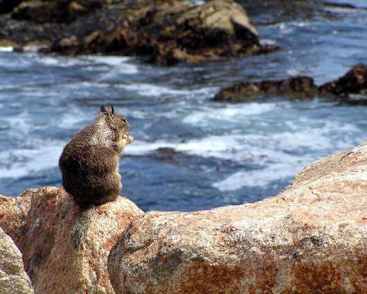 kurs prawa jazdy w Pile