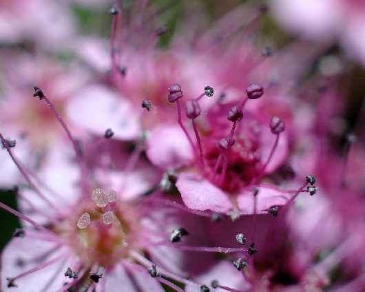 szkoła nauki jazdy w Pile