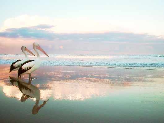 warsztat samochodowy Ujście warsztat samochodowy Ujście