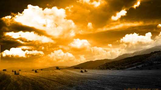 dobra nauka jazdy Piła