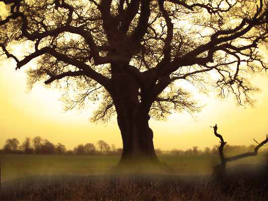 nauka jazdy kategoria b Piła