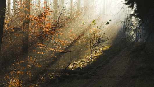 nauka jazdy kategoria be Piła