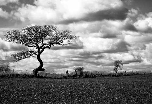 szkoła jazdy b Piła