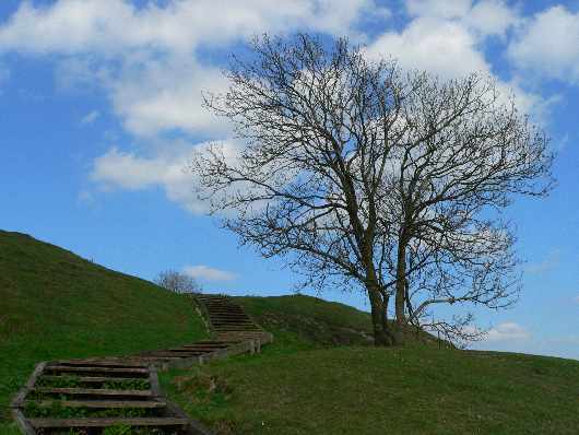 szkoła jazdy Piła cennik