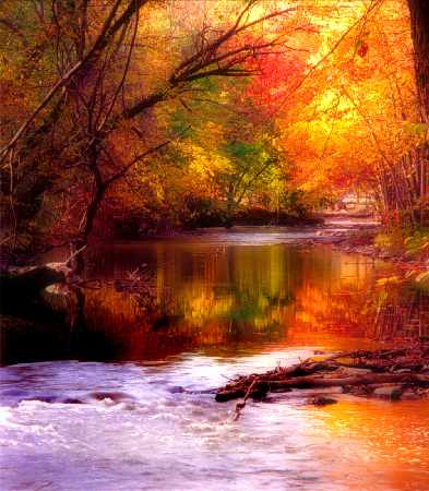 mechanika samchodowa Trzcianka