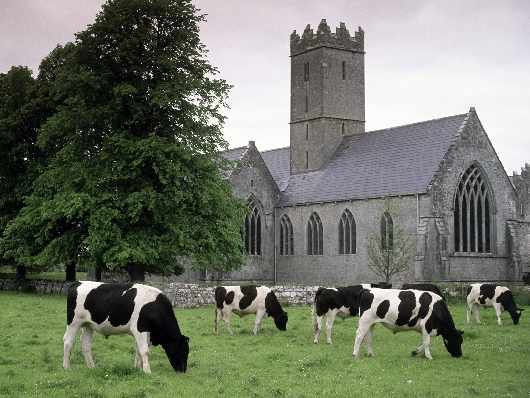 mechanika samchodowa Kaczory