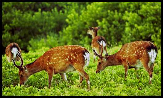 Ośrodek szkolenia kierowców Piła