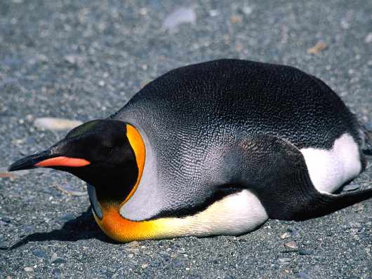 szkoła jazdy Rajek Piła