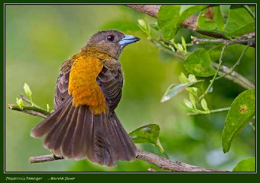 warsztat samochodowy Ujście