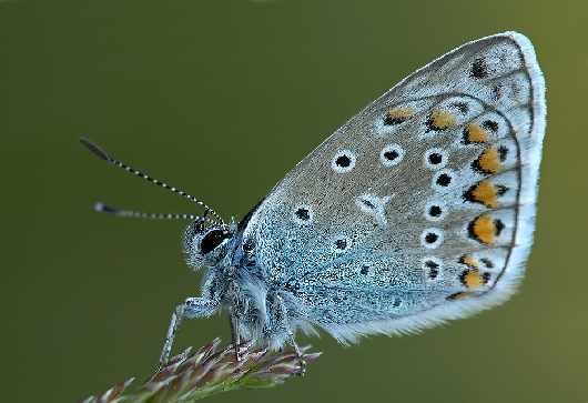 nauka jazdy Piła kat A2