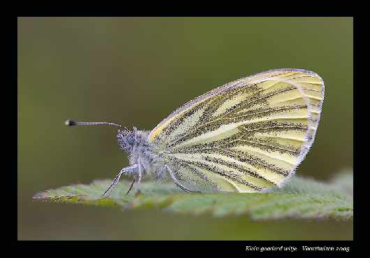 kurs prawa jazdy Pila