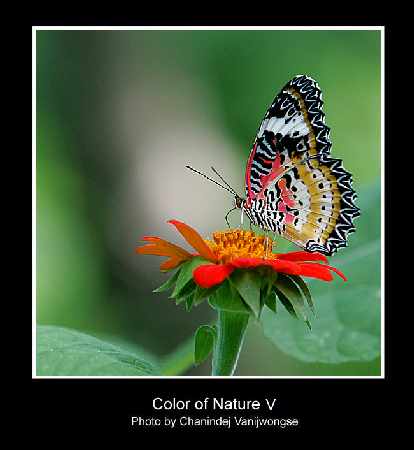 szkoła jazdy Piła rajek