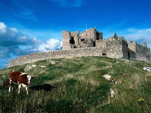 kurs prawa jazdy Piła