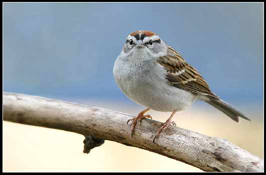 nauka jazdy Piła kat A