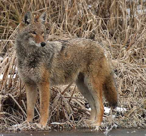 nauka jazdy Piła kat A2
