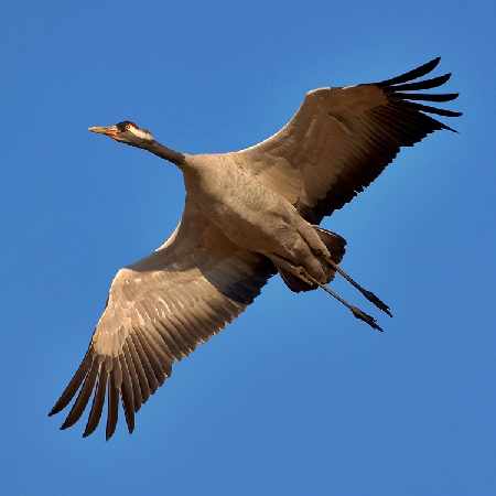 szkoła jazdy kategoria c w Pile