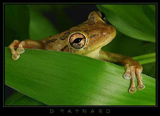 prawo jazdy Rajek Piła