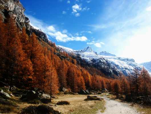 nauka jazdy kategoria B w Pile