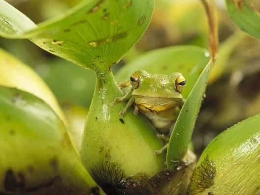 szkoła jazdy kategoria b w Pile