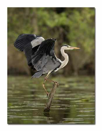 kurs prawa jazdy Piła