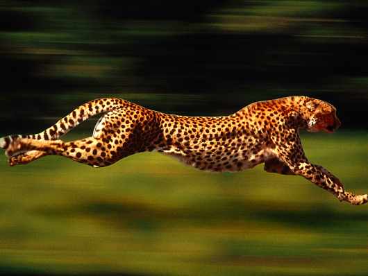 Piła prawo jazdy kat b