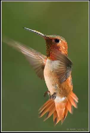 nauka jazdy Piła kategoria A