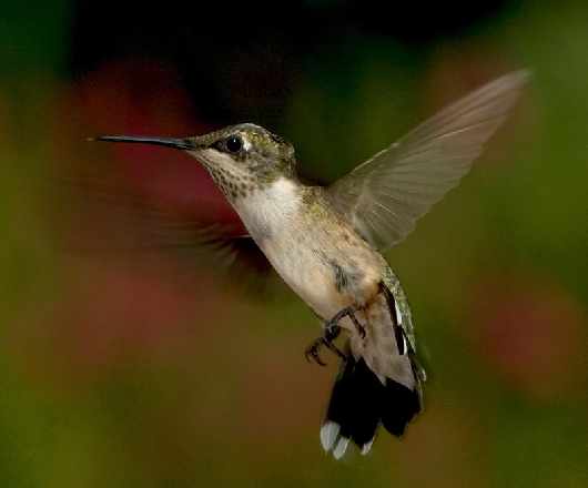 nauka jazdy kategoria am Piła