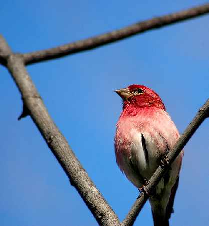 nauka jazdy Piła kat B
