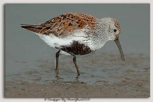 nauka jazdy Piła kat BE