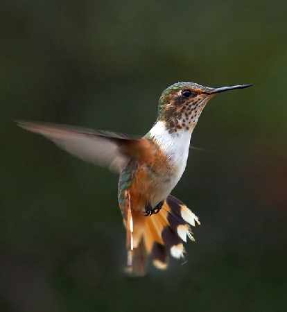 szkoła jazdy kategoria am w Pile