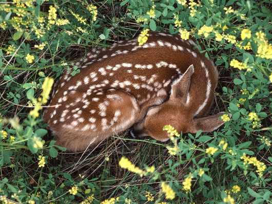 nauka jazdy kat. B Piła