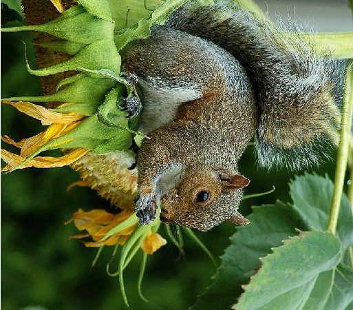 geometria kół Wyrzysk