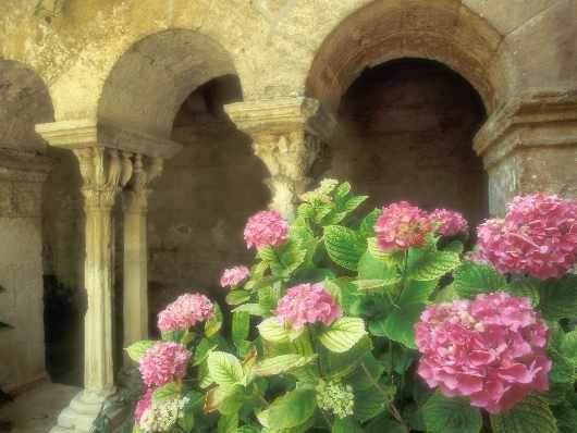 szkoła jazdy kategoria am Piła