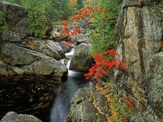 szkoła nauki jazdy Piła kategoria A szkoła nauki jazdy Piła kategoria A