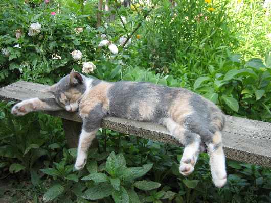 doszkalania kierowców Piła