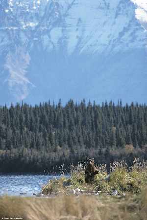 nauka jazdy Piła kat B