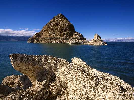 kursy nauki jazdy w Pile