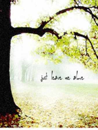 Pila kategoria B prawo jazdy