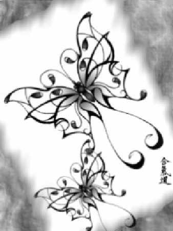 tania szkoła jazdy Piła