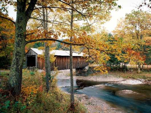 szkoła jazdy w Pile