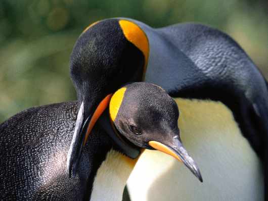 prawo jazdy Piła kategoria A