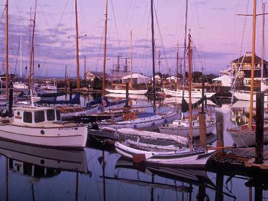 nauka jazdy Piła tanio